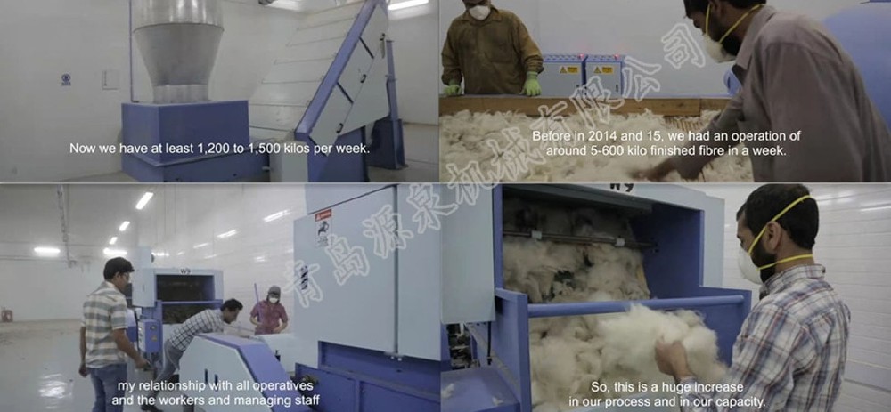 阿富汗客户羊绒分梳机使用情况
