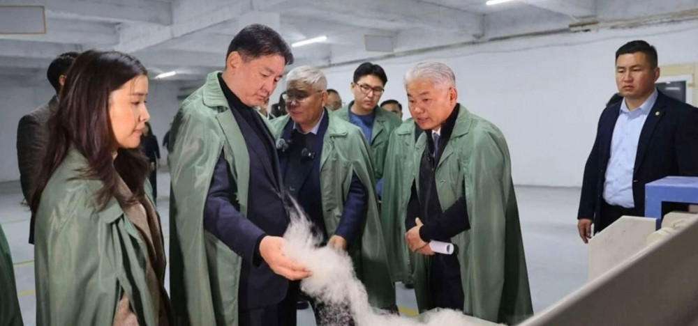 蒙古羊绒分梳项目-蒙古国总统“白金计划”考察 客户案例背景